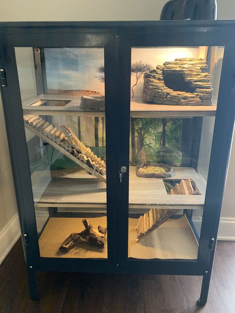 Multilevel Bearded Dragon habitat using IKEA Fabrikor glass door cabinet. Replaced top piece of class with screen. Our beardie seems to enjoy his new habitat and mom is happy that it fits better with the home decor. #happywifehappylife Diy Screen Reptile Cage, Home Made Reptile Enclosures, Bearded Dragon Home Ideas, Large Reptile Terrarium Ideas, Vivarium Ideas Bearded Dragon, Dresser Terrarium Diy, Multilevel Bearded Dragon Habitat, Diy Reptile Enclosure Decor, Diy Vivarium Bearded Dragon