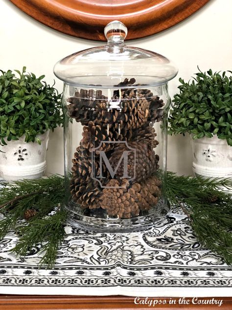 Pine cones in apothecary jar - decorating after Christmas Winter Tablescapes After Christmas, January Winter Decor, January Decor After Christmas, Post Christmas Decor, After Christmas Winter Decor, Decorating After Christmas, Vase Filler Ideas, After Christmas Decor, Snow Decor