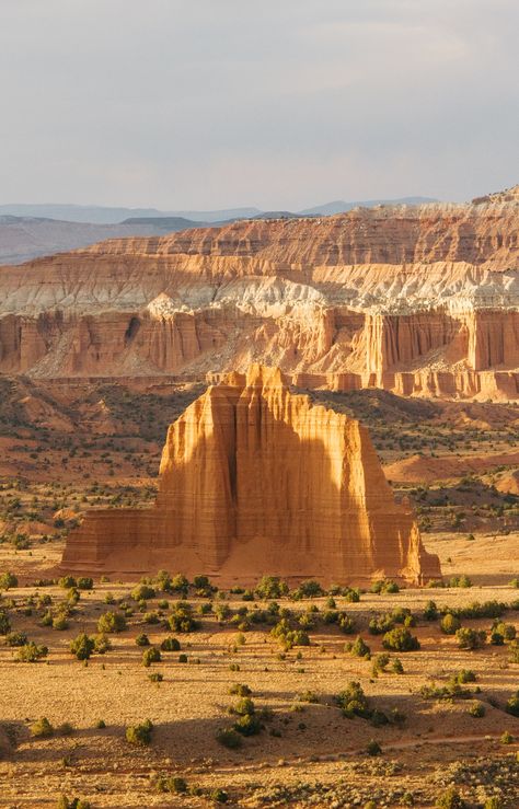 The Wonders of Capitol Reef National Park  Discover More: https://www.facebook.com/The-Most-Amazing-Places-on-Earth-697197843771667/ Capitol Reef National Park Photography, Worldly Aesthetic, Southwest Paintings, Capital Reef National Park, Utah Landscape, Arizona Aesthetic, White Rocks, Visit Idaho, Beautiful Desert