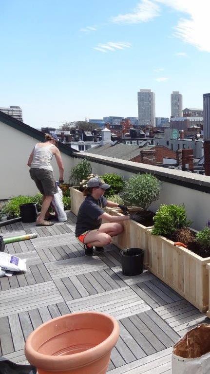 Balcon Mic, Simple Balcony, Ideas Terraza, Roof Terrace Design, Verbena Bonariensis, Rooftop Patio Design, Apartment Simple, Terrace Garden Ideas, Apartment Privacy