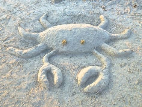 Sand crab...... Beach Sand Castles, Sanibel Lighthouse, Beach Sand Art, Sand Projects, Dorset Coast, Lighthouse Beach, Crab Art, Tidal Pool, Castle Art