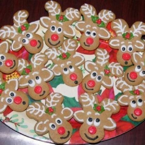 Your kids will love these reindeers! Just use plain gingerbread men. Then turn them upside down & decorate  #NZMums #Christmas #ChristmasRecipe #children #Christmasbaking #funfood #kidsfood #kids #gingerbread Reindeer Gingerbread Cookies, Reindeer Biscuits, Christmas Reindeer Cookies, Gingerbread Reindeer, Reindeer Cookies, Christmas Baking Recipes, Reindeer Food, Gingerbread Man Cookies, Christmas Gingerbread Men