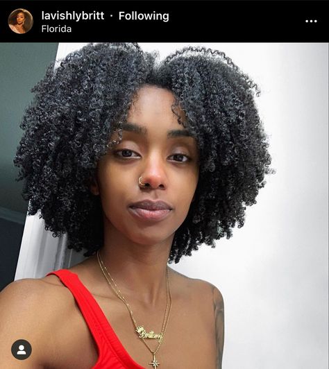 Brittany Williams, 4b Hair, Natural Hair Cuts, Natural Hair Twists, Beautiful Natural Hair, Pelo Afro, Natural Hair Beauty, Natural Curls Hairstyles, Hairdos For Curly Hair