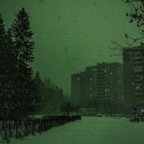 Liminal Outdoors, Atmosphere Aesthetic, Doomer Aesthetic, Tree Aesthetic, Snow Nature, Plant Outdoor, Liminal Spaces, Dreamcore Weirdcore, Dark Paradise