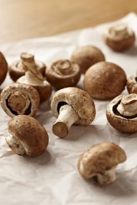 Disadvantages of Growing Mushrooms Indoors Growing Mushrooms Indoors, Crockpot Mushrooms, How To Store Mushrooms, Mushroom Varieties, Mushroom Kits, Crimini Mushrooms, Cooking Advice, Portobello Mushroom, Portobello