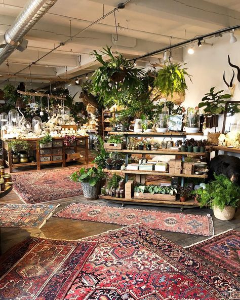 Plant Shops, Flower Shop Interiors, Flower Shop Decor, Flower Shop Design, Herb Shop, Monkey Wrench, Shop Decor, Fiddle Leaf Fig, Unique Venues