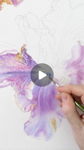 Billy Showell Watercolour, Billy Showell, Botanical Art Drawing, Single Tulip, Tulip Petals, Hello Lovely, Art Courses, Watercolour Tutorials, Flower Tutorial