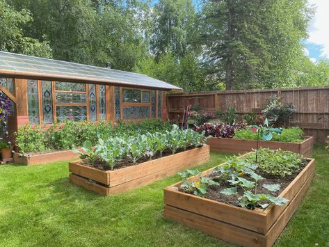 Stained-Glass Greenhouse in Alaska - FineGardening Windows Greenhouse, Window Greenhouse, Glass Greenhouse, Best Greenhouse, Fall Bulbs, Garden Plots, Antique Stain, Greenhouse Plans, Vegetable Gardens