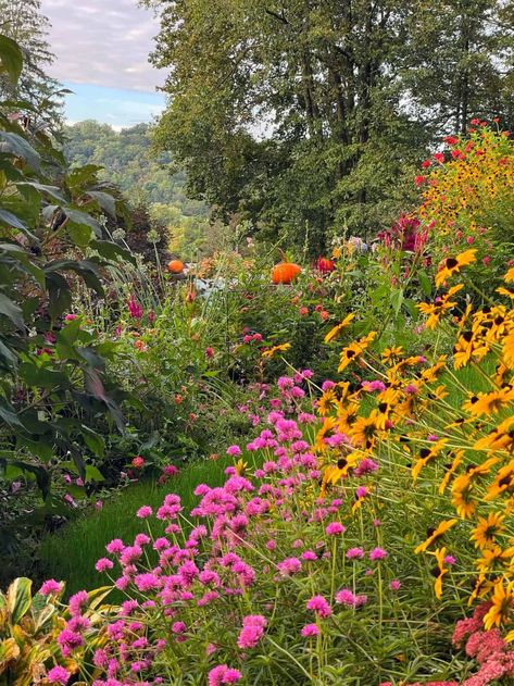 Fall gardening for beginners made easy! Learn how to plant, care for, and harvest a bountiful autumn garden of vegetables and flowers. Fall Garden Inspiration, Fall Vegetable Garden, Autumn Gardening, Fall Gardening, Fall Planting, Ornamental Kale, Fall Vegetables, Fall Garden Vegetables, Fall Care