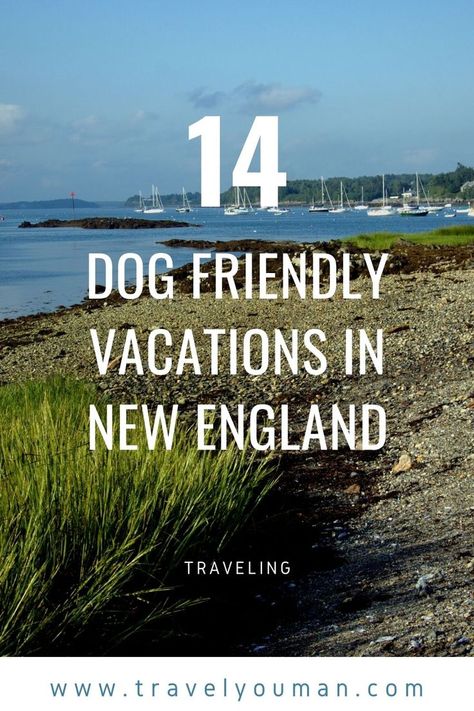 Dog Friendly Travel Destinations, Dog Friendly New England, Dog Friendly Vacation East Coast, New England Day Trips, East Coast Vacation, Road Trip With Dog, Maine Road Trip, England Coast, Dog Friendly Vacation