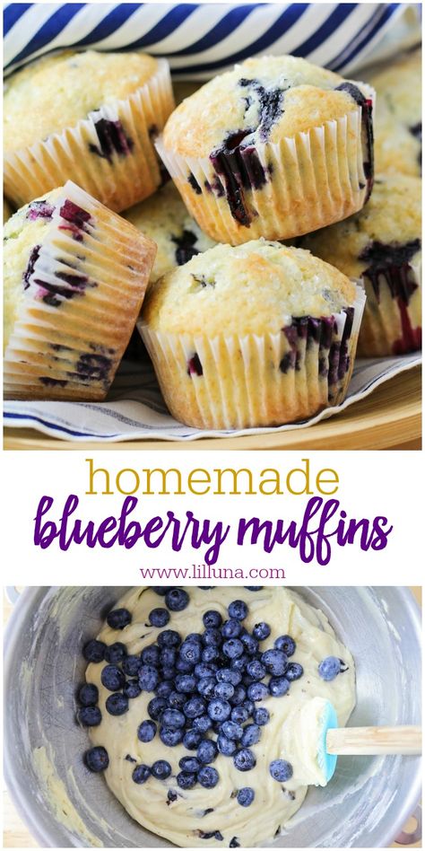 Baking Recipes Blueberry Muffins, Fresh Blueberry Muffins Recipe, Simple Blueberry Muffin Recipe, Blueberry Muffins No Milk, Small Get Together Food, Blue Berries Muffins, Blueberry Recipes Muffins, Harvest Desserts, Simple Blueberry Muffins