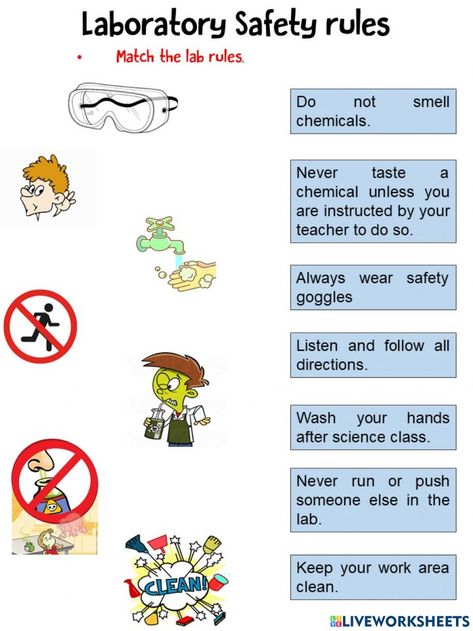 Science Lab Safety Worksheet, Lab Equipment Illustration, Lab Safety Worksheet, Chemistry Lab Safety Poster, Safety Rules Worksheet, Science Lab Rules, Science Lab Safety Rules, Science Safety Rules, Classroom Worksheet