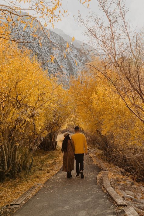 Late Fall Engagement Photos, Fall Engagement Pictures Champagne, Couple Autumn Aesthetic, Apple Picking Engagement Photos, Fall Leaves Engagement Photos, Fall Engagement Photo Inspiration, Autumn Engagement Shoot, Fall Poses For Couples, Engagement Photos Autumn