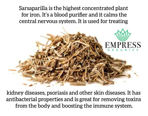 Benefits Of Sarsaparilla, Sasparilla Root Tea Benefits, Blood Purifying Herbs, Sarsaparilla Root Benefits, Shilijat Benefits, Sarsaparilla Benefits, Dr Sebi Alkaline Food, Medicinal Herbs Garden, Medical Herbs