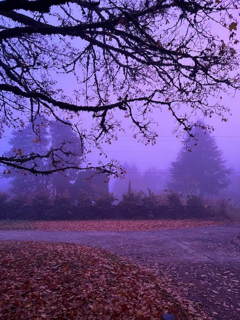 Purple Aesthetic Wallpaper Halloween, Dark Purple Nature Aesthetic, Peaceful Purple Aesthetic, Halloween Aesthetic Purple Orange, Purple Fall Asthetic, Fall Purple Aesthetic, Autumn Aesthetic Purple, Gloomy Purple Aesthetic, Vibrant Purple Aesthetic