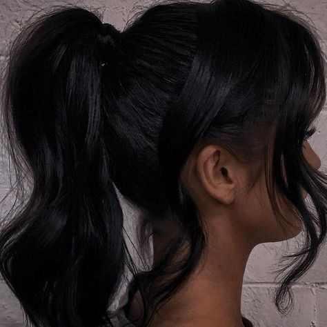 High Ponytail Aesthetic, Ponytail Hairstyles Dark Hair, Pearls Hairstyle, Hairstyles Feminine, Angelic Hair, Wallpaper Airplane, Fell Out Of Love, Hair Study, Medium Black Hair