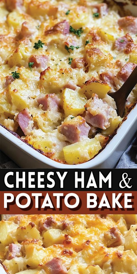 Cheesy Ham & Potato Bake Ingredients:  6 medium potatoes, peeled and cubed 2 cups cooked ham, diced 1 small onion, finely chopped 2 cups shredded cheddar cheese 1 can (10.75 oz) condensed cream of mushroom soup 1/2 cup sour cream Salt and pepper to taste 1/4 cup milk 1/2 teaspoon garlic powder 1/4 teaspoon paprika 1/4 cup breadcrumbs (optional for topping)  #easyrecipes Ham Potato Casserole, Juicy Ham, Ham And Potato Casserole, Cooked Ham, Cheesy Ham, Ham Potato, Creamy Mushroom Soup, Potato Bake, How To Cook Ham