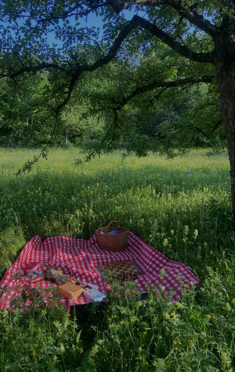 Nature Date, Cottage Core Picnic, Chess Play, Dream Dates, Idea Aesthetic, Picnic Inspiration, Cute Date Ideas, Romantic Date Night, Dream Date