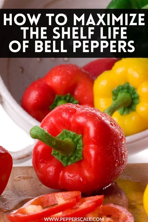 How To Preserve Red Bell Peppers, How To Store Green Peppers, Bell Pepper Storage, Best Way To Store Peppers, How To Keep Bell Peppers Fresh Longer, How To Can Bell Peppers, How To Store Peppers In Fridge, How To Store Bell Peppers, How To Keep Peppers Fresh Longer