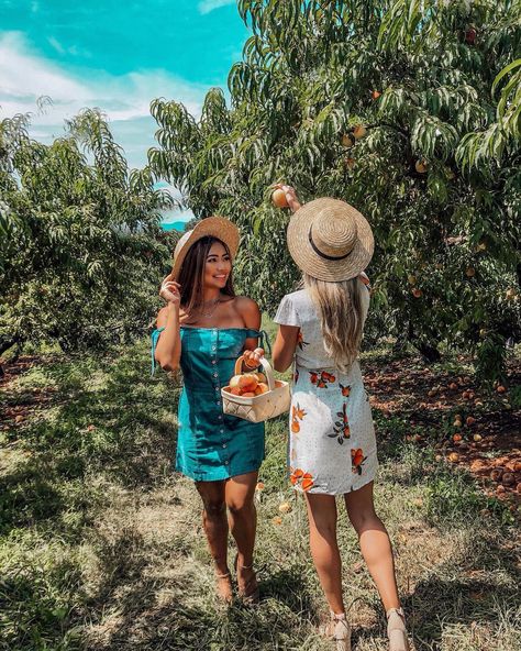 Sweet as a Georgia peach 🍑 #peachpicking #jaemorfarms #trippingwithmybff Peach Picking Outfit, Peaches Photoshoot, Madison Photoshoot, Fruit Harvesting, Peach Picking, Prom Pictures Group, Apple Picking Outfit, Prom Pictures Couples, Prom Goals