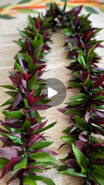 Oahu Local Floral Designer on Instagram: "Make a full ti leaf maile lei with us using fresh red and green ti leaves.   Disclaimer: Kaululani makes her ti leaf maile leis differently. She twists left and crosses over right. Others twist right and cross over left. You can twist the leaves in either direction you wish to do so, however make sure to cross over in the opposite direction in order to achieve the right look.   Mahalo for watching!" How To Make Hawaiian Leis, Ti Leaf Lei How To Make, Teunga Tauolunga, Hawaiian Haku Lei, How To Make Leis, Flower Lei Diy, Green Leaves Decoration, Hawaiian Flower Arrangements, Ti Leaf Lei