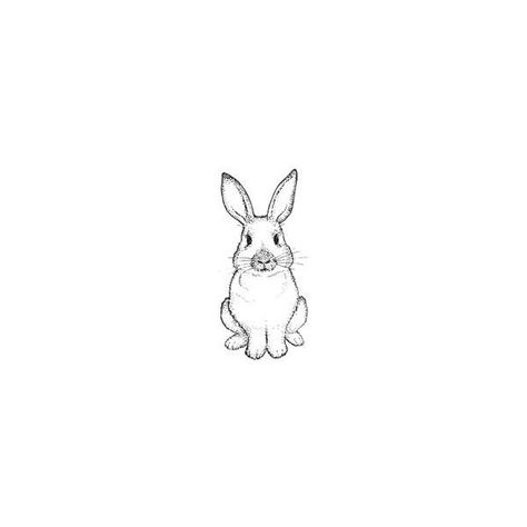 House Rabbit Rubber Stamps (RubberHedgehog.com) ($8) ❤ liked on Polyvore Hase Tattoos, Lapin Art, Petit Tattoo, Bunny Tattoos, Tattoo Trend, Rabbit Tattoos, Images Kawaii, Desenho Tattoo, Bunny Art