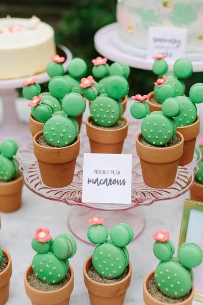 Macaroon Cactus, Southwest Theme Party, Encanto Birthday, Mexican Birthday Parties, Plant Party, Fiesta Birthday Party, Mexican Birthday, Fiesta Theme Party, Cactus Party