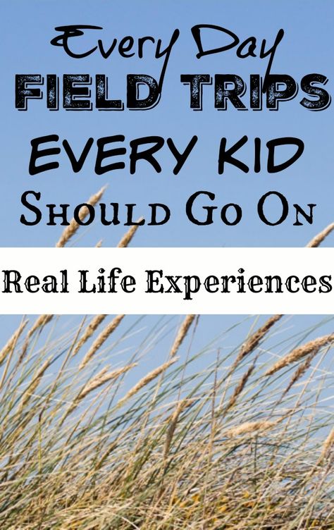 Homeschool Middle School, Homeschool Preschool Curriculum, Homeschool Field Trips, School Field Trip, Virtual Field Trips, Homeschool Inspiration, Homeschool Kids, Homeschool Learning, Homeschool Life