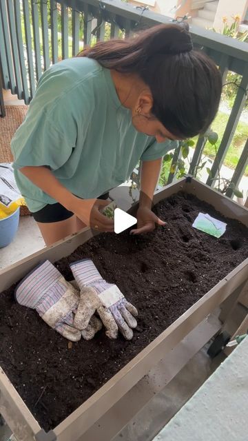 Beginner gardening with limited outdoor space. Raised bed herb garden. DIY home garden. Planting seeds. Townhome gardening. Apartment Balcony Planter Boxes, Cilantro Seeds Planting, Small Space Gardens, Patio Garden Ideas Apartment, Diy Herb Garden Outdoor, I Just A Baby, Raised Bed Herb Garden, Urban Gardening Balcony, Balcony Garden Diy