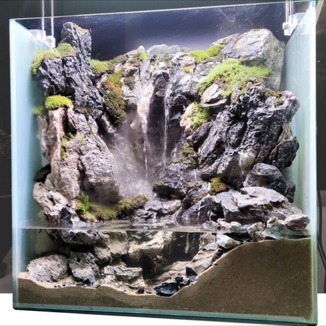 check out how this paludarium been made on youtube #paludarium #aquaterrarium #terrarium #waterfall #aquatic #seiryu #seiryu stone aquascape #bonsai #river #aquarium design #paludarium waterfall #paludarium waterfall aquascaping #aquascaping#mist maker #create waterfall #diy realistic waterfall Terrarium Waterfall Diy, Seiryu Stone Aquascape, Paludarium Ideas Diy, Paludarium Diy How To Build, Paludarium Ideas Waterfalls, Paludarium Waterfall Aquascaping, Waterfall Vivarium, Aquascape Design Natural, Paladarium Design