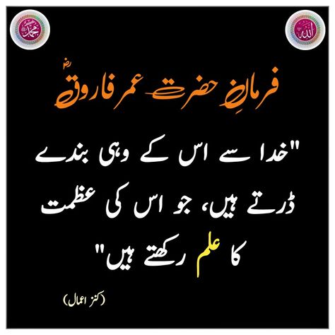 Hazrat Umer Farooq, Hazrat Umer Farooq Quotes, Islamic Quotes Hazrat Umer Farooq Quotes, Hazrat Umer Farooq, Umer Farooq, Hazrat Umar, Quotes Islamic, Islamic Quotes, Beautiful Flowers, Quotes, Flowers