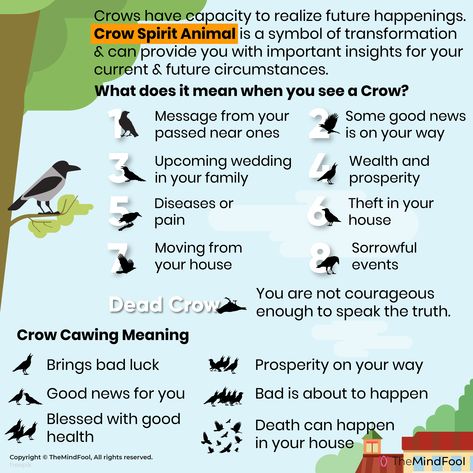 Crows are said to be wise creatures with foresight. They are said to have the capacity to realize future happenings. Crow spirit animal is a symbol of transformation. Crows can provide you important insights for your current and future circumstances. They are also said to be a symbol of change that is required. #CrowSymbolism #mindfulness #selflove #believe #awakening #faith #soul #motivation #consciousness #inspiration Food For A Crow, Crow Tattoo Meaning, Crow Symbolism, Crow Meaning, Crow Core, Crow Spirit Animal, Spirit Animal Meaning, Animal Meanings, Spirit Animal Totem