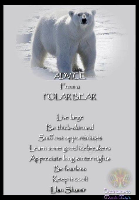 Advice from a POLAR BEAR Bear Spiritual Meaning, Spiritual Animals, Gratitude Attitude, Spirit Animal Meaning, American Quotes, Spiritual Animal, Animal Spirit Guides, White Polar Bear, Native American Quotes