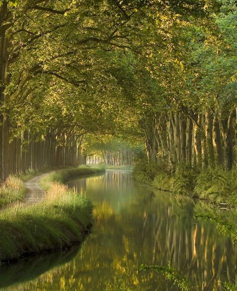 Canal du Midi in the Morning - A tranquil morning scene at the historic Canal du Midi. #CanalDuMidi #MorningScenery Canal Du Midi, In The Morning, The Morning, Paris, France, Green, Beauty, Nature