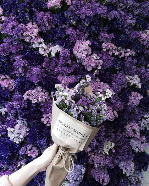 Flowers and Gardens Flower Bouquet Aesthetic, Bouquet Aesthetic, Purple Flower Bouquet, Violet Aesthetic, Lavender Aesthetic, Purple Themes, Lilac Flowers, All Things Purple, Bouquet Of Flowers