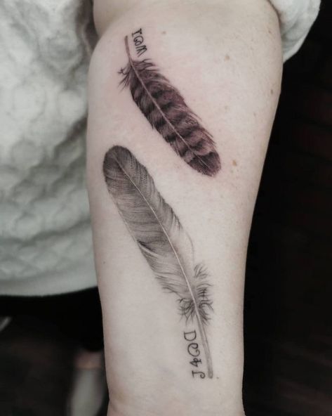 Hawk Feather Tattoo, Red Tail Hawk Feathers, Feather Tattoo Ideas, Owl Feather Tattoos, Phoenix Feather Tattoos, Eagle Feather Tattoos, Hawk Feather, White Hawk, Hawk Feathers