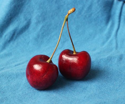 Free Cherry Reference | Lena Danya on Patreon Pastel Reference Photos, Reference Photo For Painting, Good Art Reference Photos, Random Drawing Reference Photos, Art Study Reference Objects, Sketch Reference Object, Realism Drawing Reference Objects, Object To Paint, Lena Danya Paintings