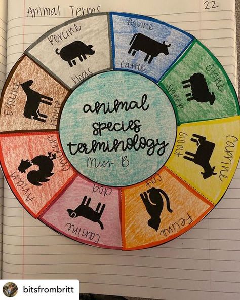 Animal Identification Activities, Ag Science Projects, 4h Vet Science Project Ideas, Vet Science Activities High School, Principles Of Agriculture Activities, Agriscience Lessons, Middle School Agriculture, Agriculture Lessons For Kids, Ag Teacher Lesson Plans