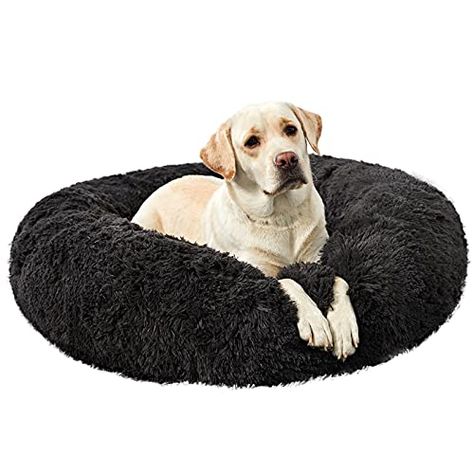 Gifts for Labradors & Gifts for Labrador Lovers - The Pet Supply Guy Dog Bed Medium, Plush Dog Bed, Round Dog Bed, Round Bed, Medium Dog Bed, Donut Bed, Designer Dog Beds, Donut Dog Bed, Bolster Dog Bed