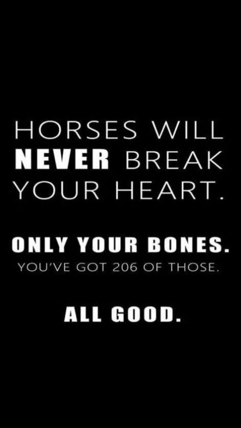 Horse Phrases, Cowgirls Quotes, Equestrian Wallpaper, Autumn True, Horse Sayings, Equestrian Memes, Equine Quotes, Cowgirl Quote, Horse Quotes Funny