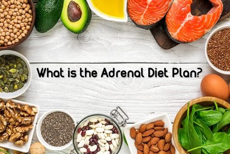 Whether you identify as having an adrenal body type or adrenal fatigue, the adrenal diet plan can help. See all the ins and outs of this lifestyle diet. Adrenal Body Type, Adrenal Diet, Adrenal Fatigue Diet, Body Type Diet, Dr Berg, Health Podcast, Different Diets, Visceral Fat, Diets For Women