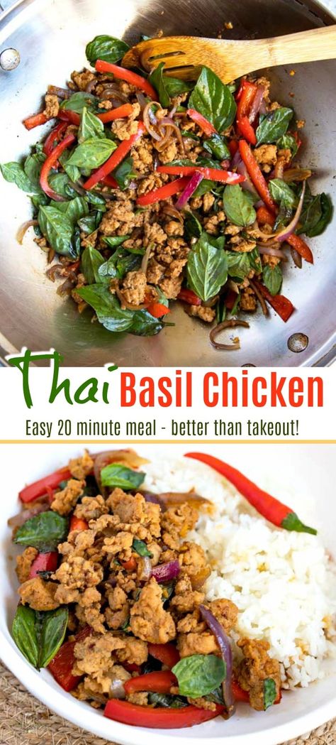 This quick and easy Thai Basil Chicken recipe is budget friendly, light and full of flavor! Ground chicken, veggies and basil are stir fried in the tastiest thick savory sauce! #stirfry #easy #healthy #ground #lowcarb #Thaifood Thai Basil Turkey, Thai Chicken Basil Recipes Stir Fry, Thai Basil Chicken Healthy, Asian Basil Recipes, Thai Basil Ground Turkey, Chicken Basil Stir Fry, Ground Chicken Thai Basil, Chicken Basil Recipes Healthy, Ground Turkey Basil Recipes