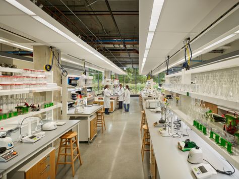 The building was delivered in phases, starting with instructional laboratories, then a computational core, and finishing with the research and vivarium space. Photo: Barry Halkin Interdisciplinary Learning, Fume Hood, Interior Design Masters, Johns Hopkins University, Research Lab, Johns Hopkins, Vivarium, Study Space, Master Plan