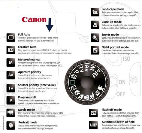 Photography Basics - Understanding Camera Modes Canon Camera Tips, Beginner Photography Camera, Camera Basics, Manual Photography, Digital Photography Lessons, Dslr Photography Tips, Photography Settings, Photography Help, Dslr Photography