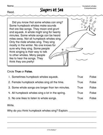 Free Reading Comprehension Worksheets, 2nd Grade Reading Worksheets, 8th Grade Reading, 2nd Grade Reading Comprehension, 5th Grade Worksheets, Ela Worksheets, Present Continuous, 2nd Grade Worksheets, 4th Grade Reading