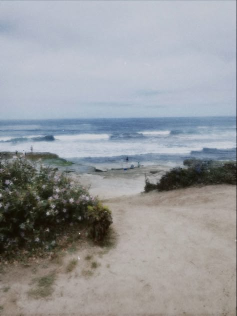 Flowers And Beach Aesthetic, Calm Vintage Aesthetic, Airy Beach Aesthetic, Relaxing Beach Aesthetic, Ocean Calm Aesthetic, Floral Beach Aesthetic, Beach Aesthetic Polaroid, Summer Wallpaper Vintage, Vintage Album Covers Aesthetic