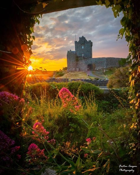 Valley Of Love Ireland, Dunguaire Castle, Ireland Photography, County Galway, Castles In Ireland, Love Ireland, Irish Landscape, Scotland Castles, Galway Ireland