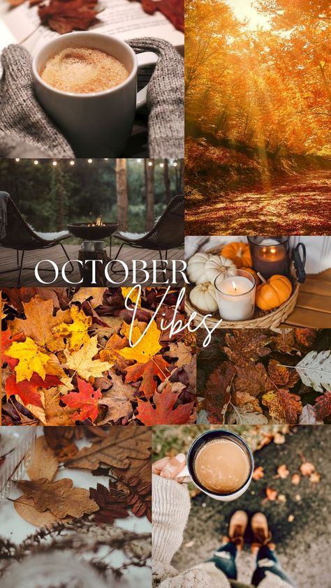 Hello October Aesthetic, Fall Season Pictures, Autumn Phone Wallpaper, October Wallpaper, Halloween Love, Fall Wallpapers, Girly Wallpapers, Hello October, Iphone Wallpaper Fall