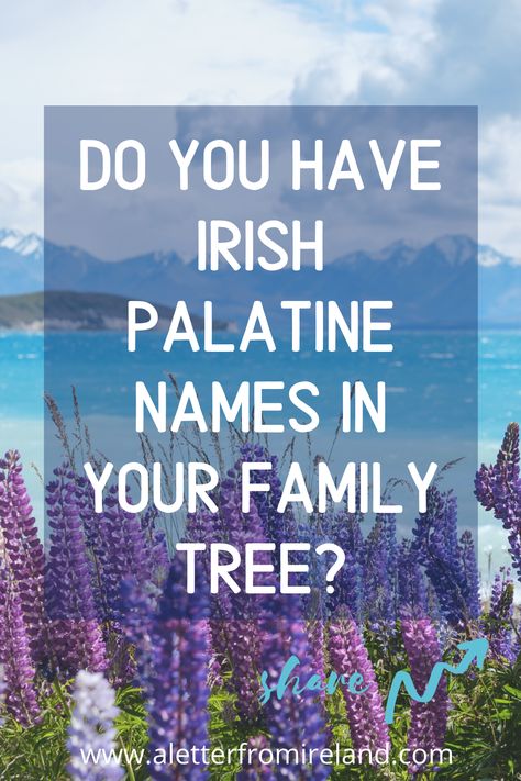 Palatine families, surnames and Irish German connections all in our blog A Letter From Ireland! *** #Ireland #genealogy #ancestry #family Irish Last Names For Characters, Roscommon Ireland, Irish Surnames Family Names Ireland, Irish History Facts, German Ancestry, Sligo Ireland, Irish Surnames, Irish Ancestry, Irish Genealogy