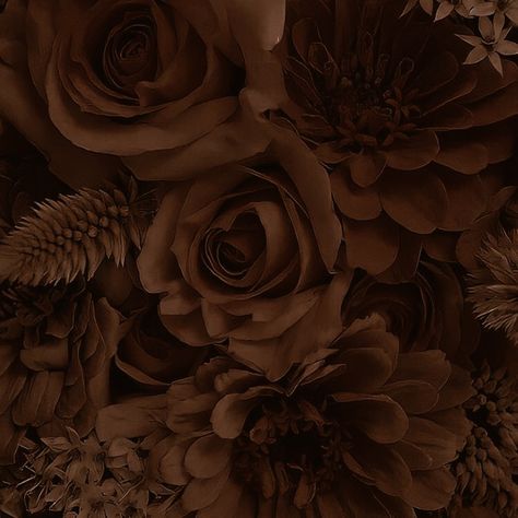 Tawny Brown Aesthetic, Dark Brown Aesthetic Vintage Background, Dark Brown Aesthetic Pictures, Autumn Backgrounds, Brown Eyes Aesthetic, Aesthetic Gallery, Flower Brown, Tawny Brown, Brown Image